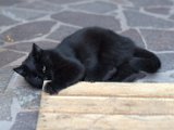 IMG_7068.CR2