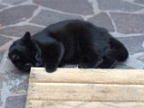 IMG_7069.CR2