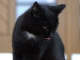 IMG_7070.CR2