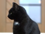 IMG_7071.CR2