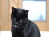 IMG_7072.CR2