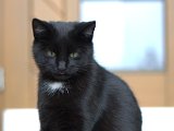 IMG_7073.CR2