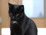 IMG_7074.CR2