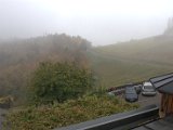 IMG_7193.CR2