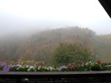 IMG_7196.CR2