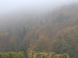 IMG_7197.CR2