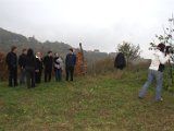 IMG_7198.CR2