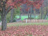 IMG_7223.CR2