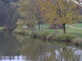 IMG_7230.CR2