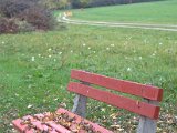 IMG_7234.CR2