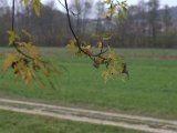 IMG_7238.CR2