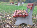 IMG_7243.CR2