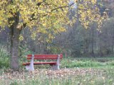IMG_7244.CR2