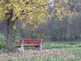 IMG_7245.CR2
