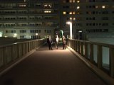 IMG_8890.CR2
