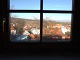 IMG_0982.CR2