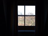 IMG_0994.CR2