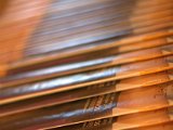 IMG_1003.CR2