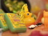 IMG_1004.CR2
