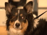 IMG_1202.CR2