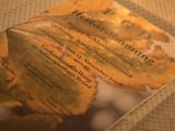 IMG_1342.CR2