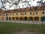 IMG_1415.CR2