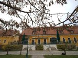 IMG_1419.CR2
