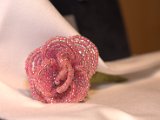 IMG_7199.CR2