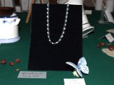 IMG_7244.CR2