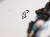 IMG_7308.CR2