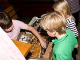 IMG_7719.jpg