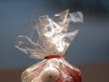 IMG_3499.CR2