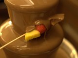 IMG_3530.CR2