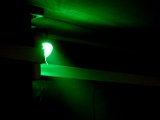 IMG_3678.jpg