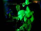 IMG_3687.jpg