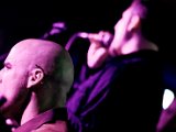 IMG_7850.jpg