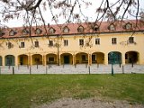 IMG_1416.jpg