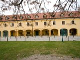 IMG_1416.jpg
