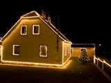 IMG_5203.jpg