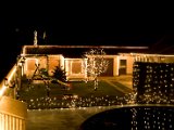 IMG_5264.jpg