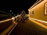 IMG_5276.jpg