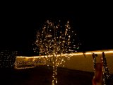 IMG_5277.jpg