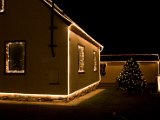IMG_8198.jpg
