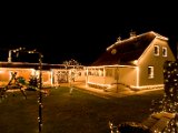 IMG_8206.jpg