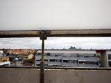 IMG_3037.jpg