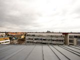 IMG_3041.jpg