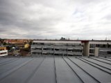 IMG_3060.jpg