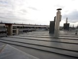 IMG_3064.jpg