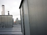 IMG_3099.jpg