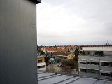 IMG_3101.jpg